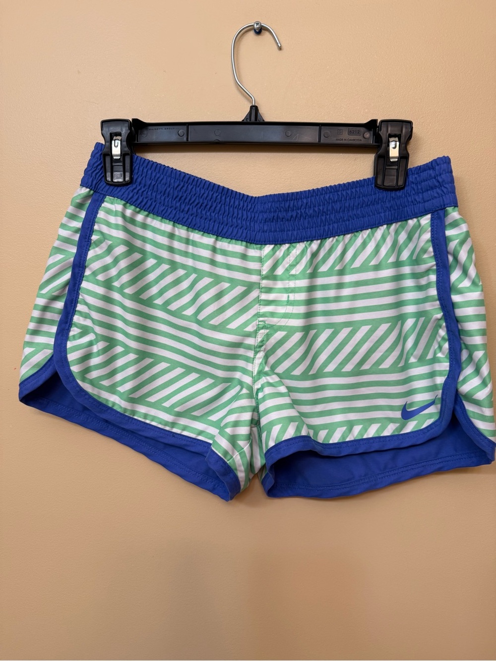 Nike Green & Blue Striped Athletic Shorts